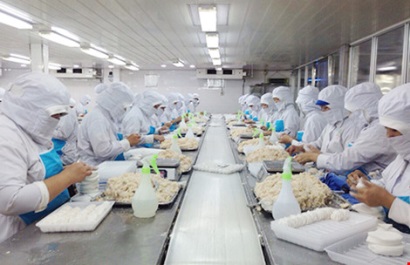 Xin chứng nhận thủy sản khai thác: Vướng quy định mới