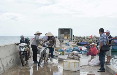 Mất cả triệu USD vì Formosa, doanh nghiệp kêu cứu