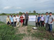 Cần Thơ: Triển khai mô hình nuôi luân canh tôm càng xanh - lúa