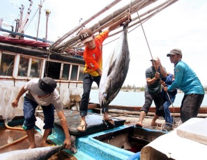 Quảng Ngãi: Khai thác xa bờ, chìa khóa để nâng hiệu quả và sản lượng