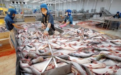 Thêm 2 doanh nghiệp được phép xuất khẩu cá tra vào Hoa Kỳ