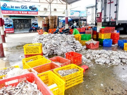 “Đói” nguyên liệu, ngành chế biến thủy sản gặp khó