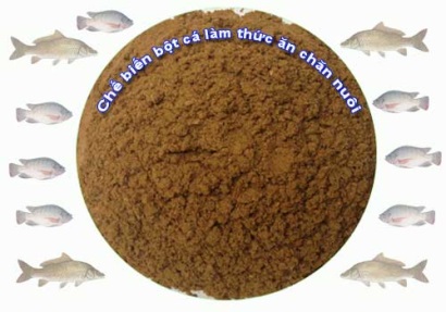 Mô hình chế biến bột cá làm thức ăn chăn nuôi Lợi nhuận từ đầu ra ổn định