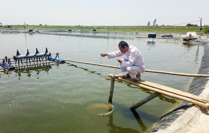 Quảng Ninh: Nghề nuôi cua biển ở Quảng Yên cho hiệu quả kinh tế cao