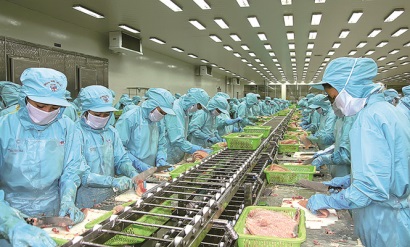 IDI vươn tầm chinh phục thị trường mới