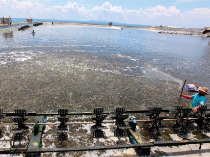 Doanh nghiệp tư nhân Đắc Lộc: Biểu tượng khát vọng vươn lên của doanh nghiệp Phú Yên