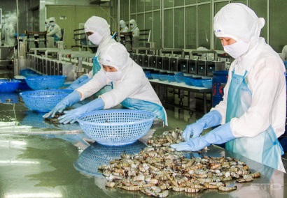 Tiêu chuẩn nào cho thủy sản Việt Nam?