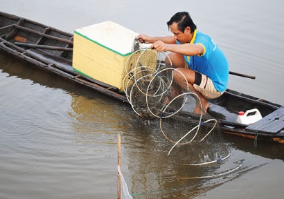 Cà Mau: Nuôi tôm quảng canh cải tiến, nông dân Thới Bình tăng thu nhập