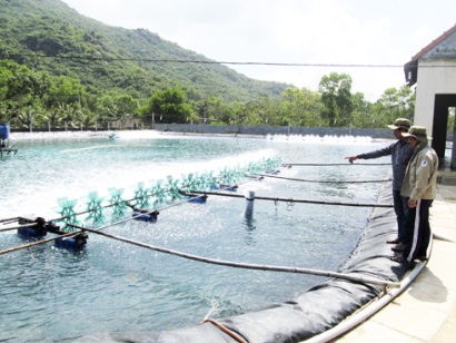 Hội thảo về bệnh trên tôm nuôi