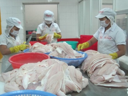 Thủ tướng chỉ đạo gỡ khó cho cá tra xuất sang Mỹ