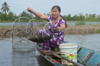 Tôm - lúa đạt chứng nhận VietGAP