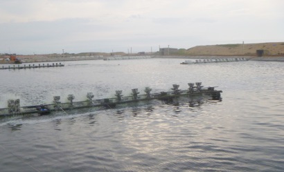 Tăng cường quản lý các vùng nuôi thủy sản