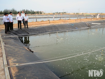 Ninh Thuận: Giải pháp ổn định vùng nuôi trồng thủy sản