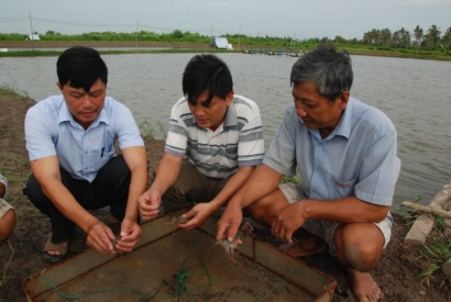 Cà Mau: Tạo đột phá cho nghề nuôi tôm