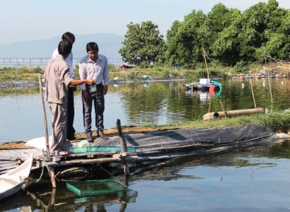 Nuôi ghép tôm thẻ chân trắng với cá rô phi đơn tính: Lợi nhiều bề