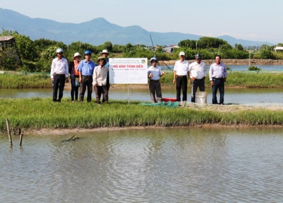 Bình Định: Hiệu quả từ mô hình nuôi cua xanh thương phẩm