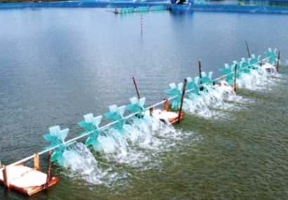 Bến Tre: Khai thác thủy sản đạt hơn 217 nghìn tấn