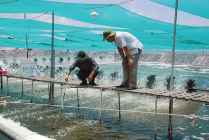 Cà Mau: Hướng đến nền nông nghiệp công nghệ cao