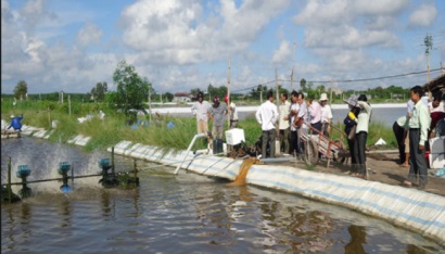 Kiên Giang: Sản lượng thủy sản đánh bắt tăng cao