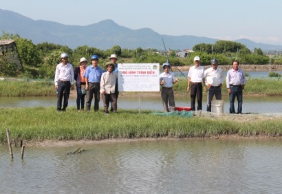 Bình Định: Hiệu quả mô hình nuôi cua xanh thương phẩm