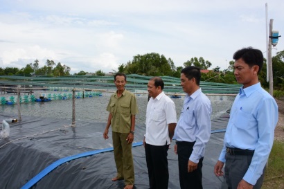 Đầm Dơi (Cà Mau): Nuôi tôm siêu thâm canh gắn với bảo vệ môi trường