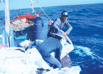 Bình Thuận: Thành công mô hình quản lý nguồn lợi sò lông