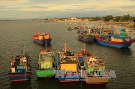 Điều chỉnh thói quen đánh bắt trước "thẻ vàng" của EC với thủy sản Việt