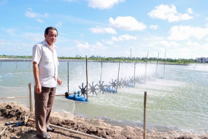 Thu tiền tỉ từ mô hình nuôi tôm công nghiệp