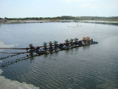 Bình Thuận: Tăng cường phòng bệnh thủy sản