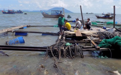 Bàn giải pháp khắc phục ngành thủy sản ở Khánh Hòa