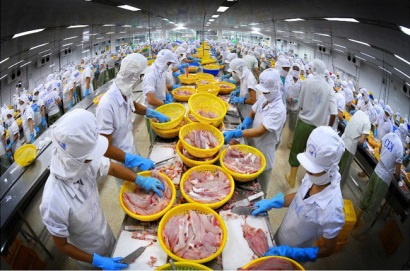 Vĩnh Hoàn (VHC): Doanh thu xuất khẩu tháng 10 đạt 31,7 triệu USD, gấp rưỡi cùng kỳ