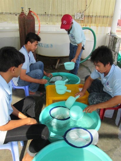 Chất lượng tôm giống Nam Trung bộ đứng đầu!