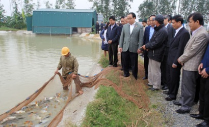 Nuôi thuỷ sản an toàn ứng dụng Biofloc, năng suất tăng 20 tấn/ha