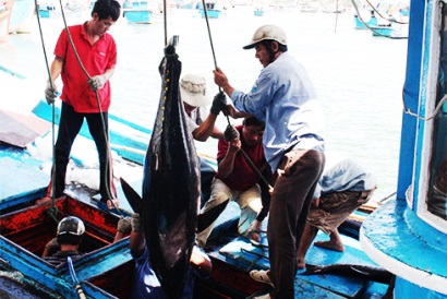 Khắc phục "thẻ vàng" của EU đối với hải sản xuất khẩu