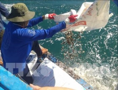 Sản lượng khai thác, nuôi trồng thủy sản 11 tháng tăng