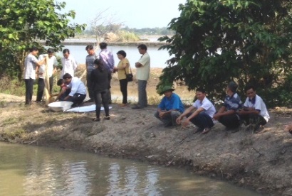 Đồng Tháp: Sơ kết mô hình nuôi luân canh tôm càng xanh - lúa