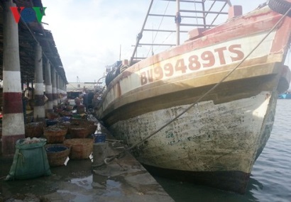 Tổ chức cảng cá không thống nhất, khó truy xuất nguồn gốc thủy sản