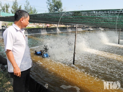 Ninh Thuận: Tín hiệu vui từ nuôi tôm nước lợ