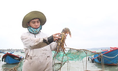 Mong có chính sách hỗ trợ người nuôi trồng thủy sản