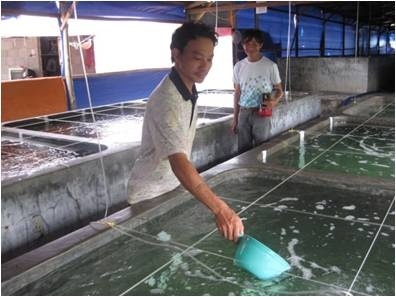 Khoa học đánh thức nuôi trồng thủy sản miền Trung