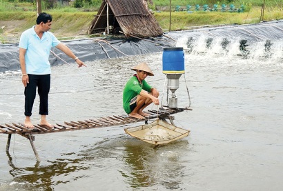 Ngành tôm Cà Mau tiến nhanh về đích!