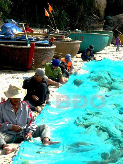 Bình Định: Ngư dân Mỹ An trúng tôm hùm giống