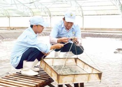 1/2018, Bạc Liêu chính thức khởi công Khu NNCNC phát triển tôm