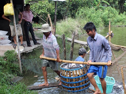 Niềm vui của người nuôi cá