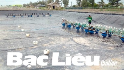 Bạc Liêu: Thông báo lịch thời vụ nuôi trồng thủy sản 2018