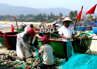 Bình Định: Ngư dân trúng “lộc biển”