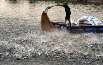 Cuối tháng 4 sẽ thoát "thẻ vàng" của EU, thủy sản XK đạt 9 tỷ USD