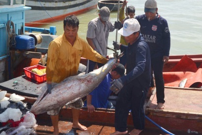 Trúng “lộc” đầu năm, ngư dân phấn khởi