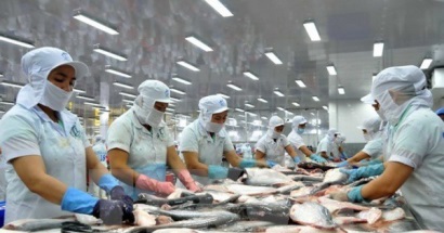 Nhận diện thách thức với hàng thủy sản xuất khẩu của Việt Nam vào Mỹ