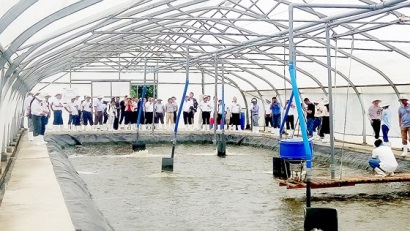 Nông nghiệp đô thị với “bệ phóng” công nghệ cao